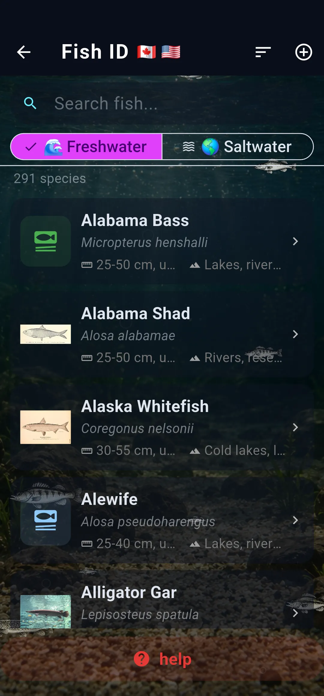Fish species close-up